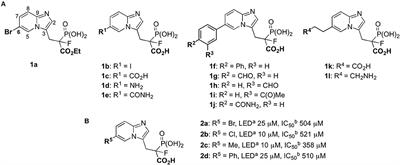 Synthesis of the 6-Substituted Imidazo[1,2-a]Pyridine-3-yl-2- Phosphonopropionic Acids as Potential Inhibitors of Rab Geranylgeranyl Transferase